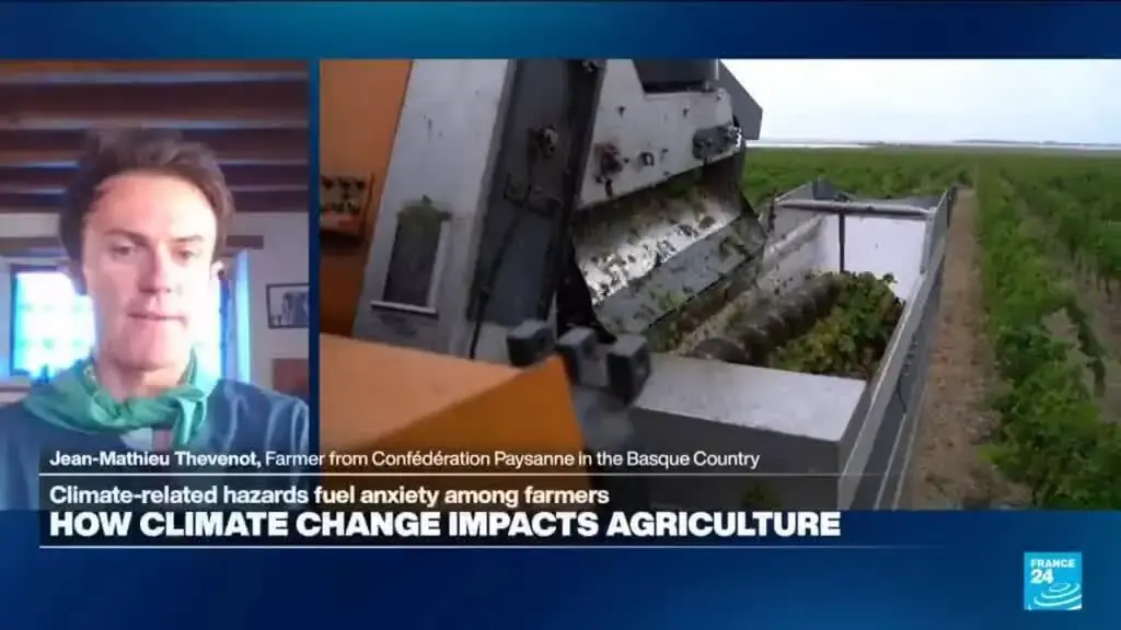 French Farmers Face Severe Economic and Mental Health Strain from Climate Shifts