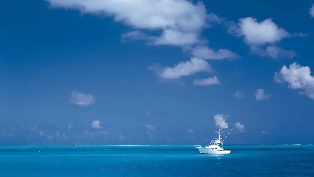 Palantir’s $370 Billion Valuation Meets a 1.4 % Effective Tax Rate, Report Shows