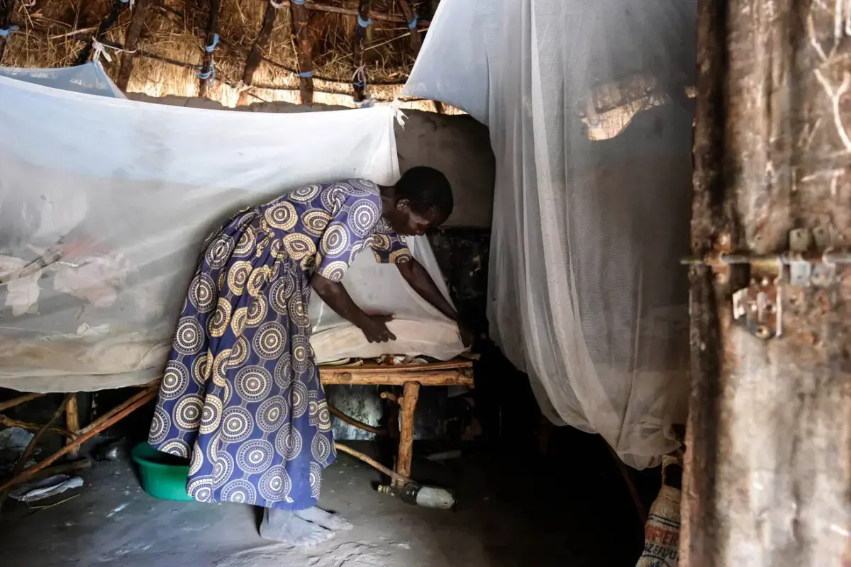 Rising Temperatures May Push Malaria Out of West and Central Africa by Century’s End