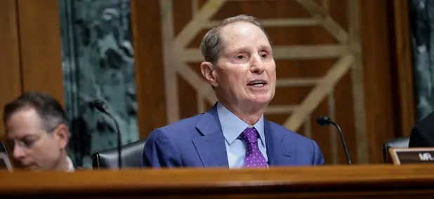 Hundreds of Federal Websites Lack Key Spy Defense, Senator Warns