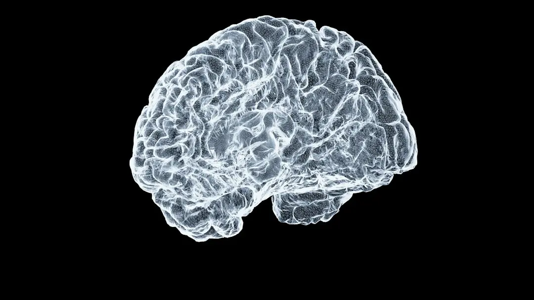 Scientists Identify Brain Region That May Drive High Blood Pressure and Offer New Treatment Pathway
